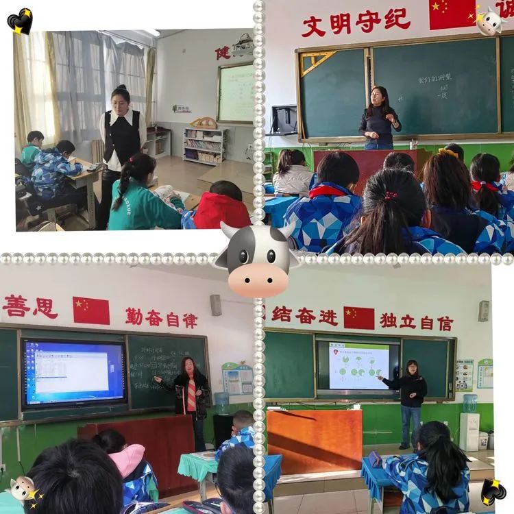 双滦区小学最新教育新闻动态