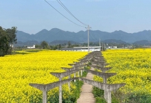 杜阮镇天气预报更新通知